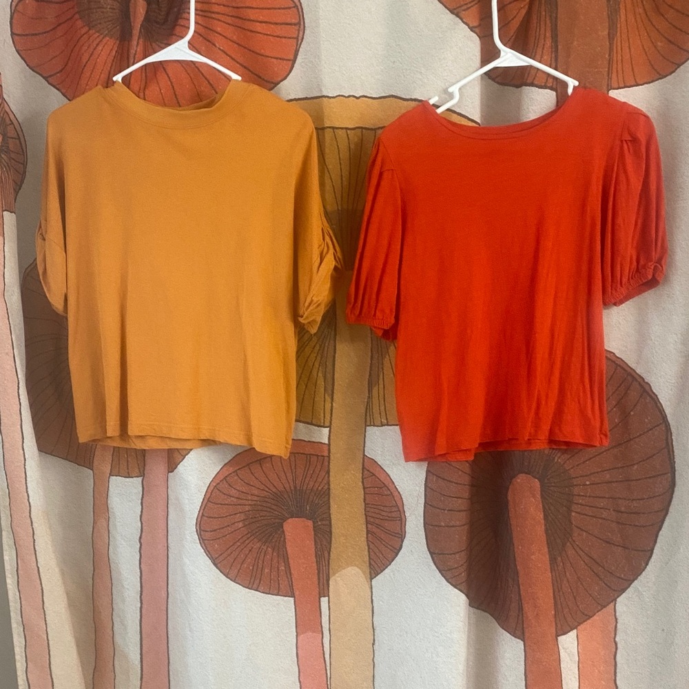 Zara set of 2 Short Sleeve Tees